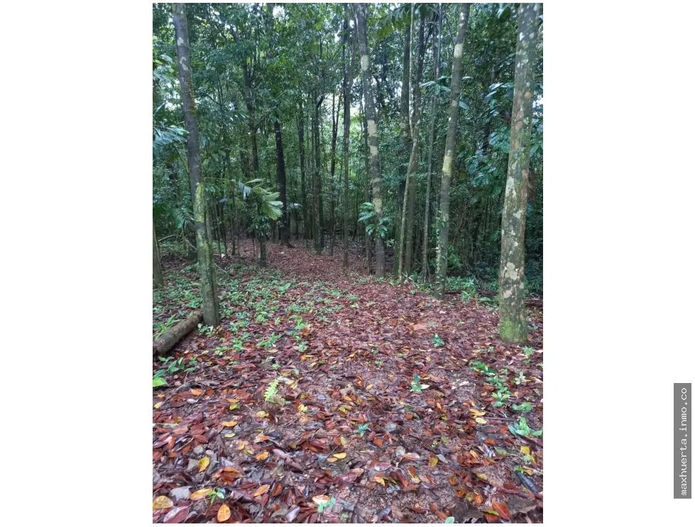 SE VENDE TERRENO EN CERRO AZUL