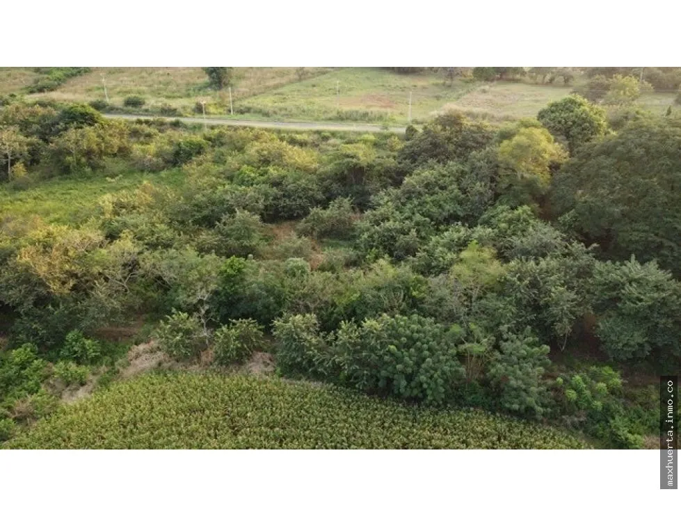 VENTA DE TERRENO COMERCIAL EN LAS TABLAS