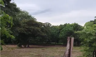 Land for Sale in Antón, Coclé