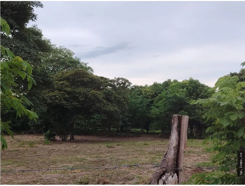 Land for Sale in Antón, Coclé