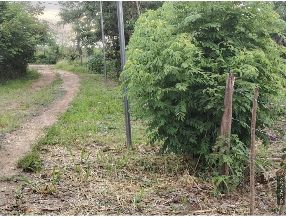 Land for Sale in Antón, Coclé