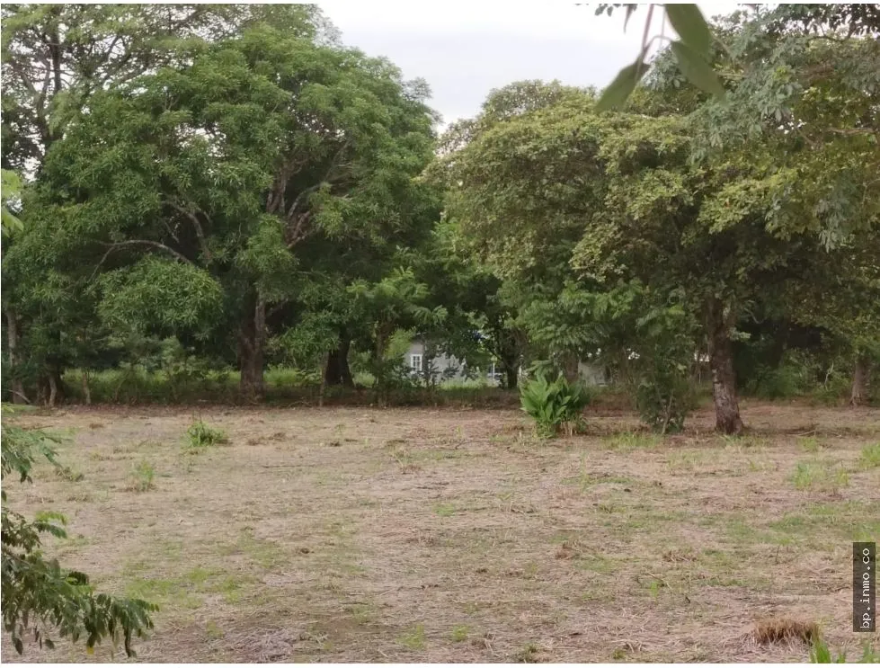 Land for Sale in Antón, Coclé
