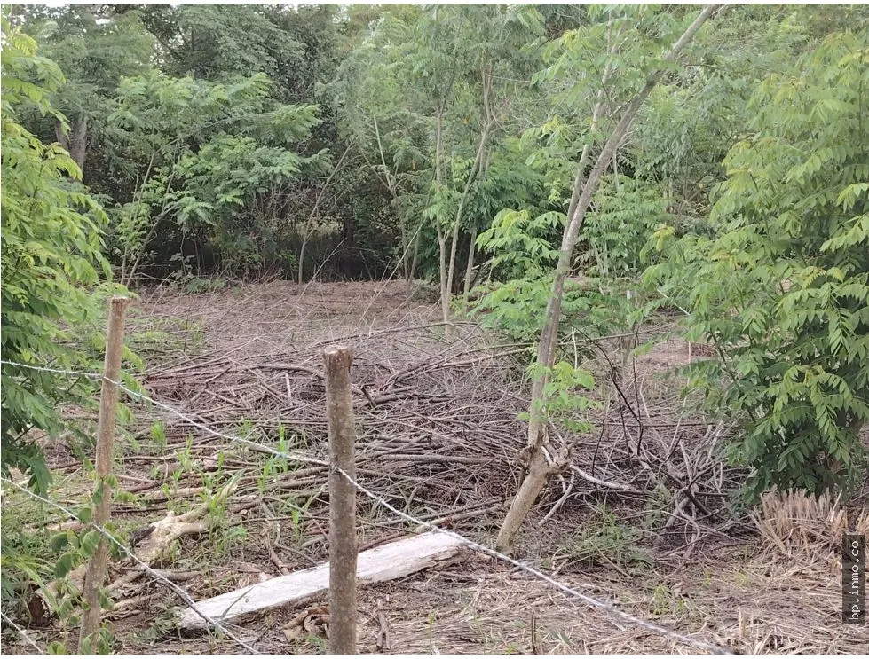 Land for Sale in Antón, Coclé