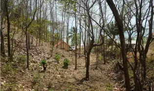 BEACHFRONT LAND WITH OCEAN VIEW IN PLAYA LOS BUZOS, TONOSÍ
