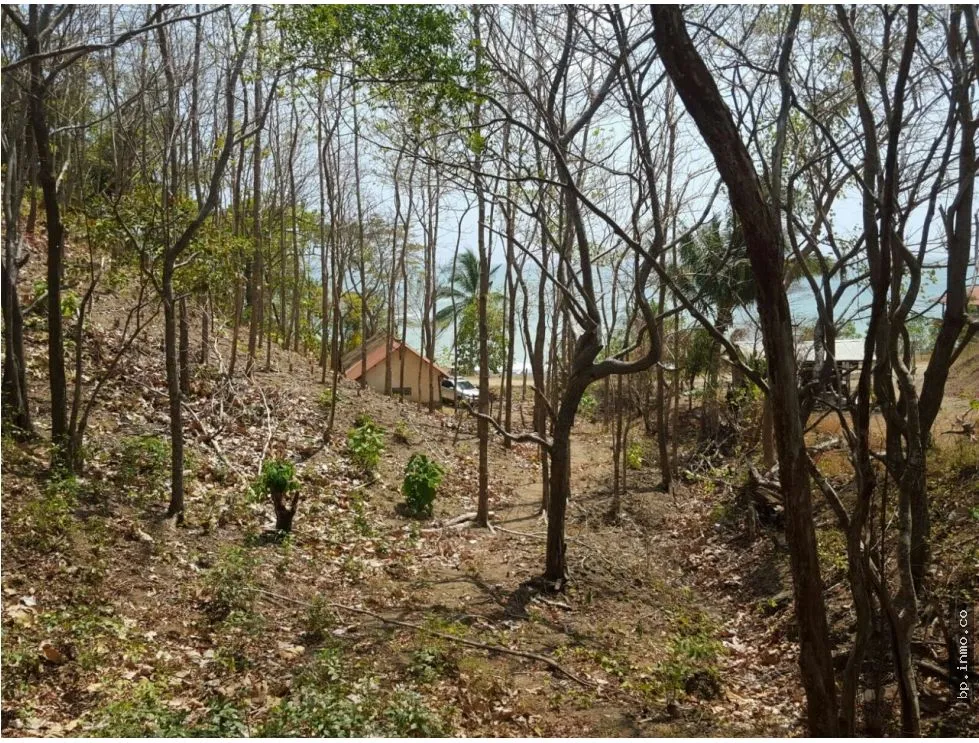 BEACHFRONT LAND WITH OCEAN VIEW IN PLAYA LOS BUZOS, TONOSÍ