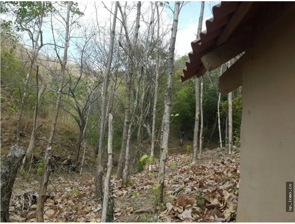 BEACHFRONT LAND WITH OCEAN VIEW IN PLAYA LOS BUZOS, TONOSÍ