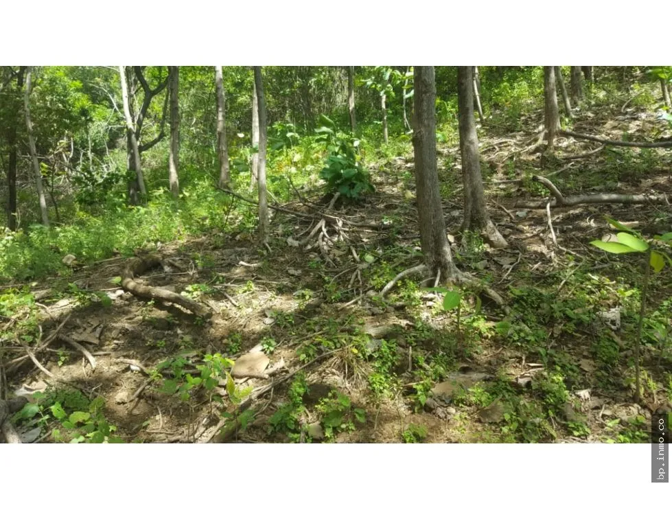 BEACHFRONT LAND WITH OCEAN VIEW IN PLAYA LOS BUZOS, TONOSÍ