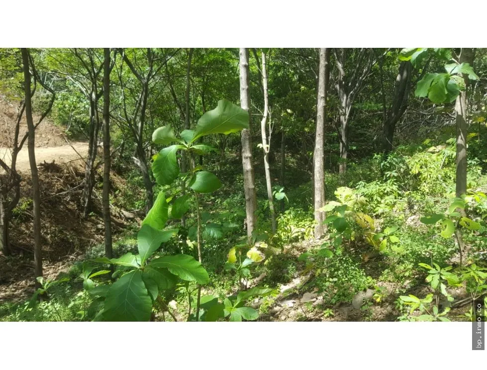 BEACHFRONT LAND WITH OCEAN VIEW IN PLAYA LOS BUZOS, TONOSÍ