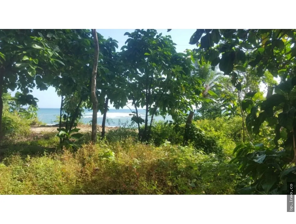 BEACHFRONT LAND WITH OCEAN VIEW IN PLAYA LOS BUZOS, TONOSÍ