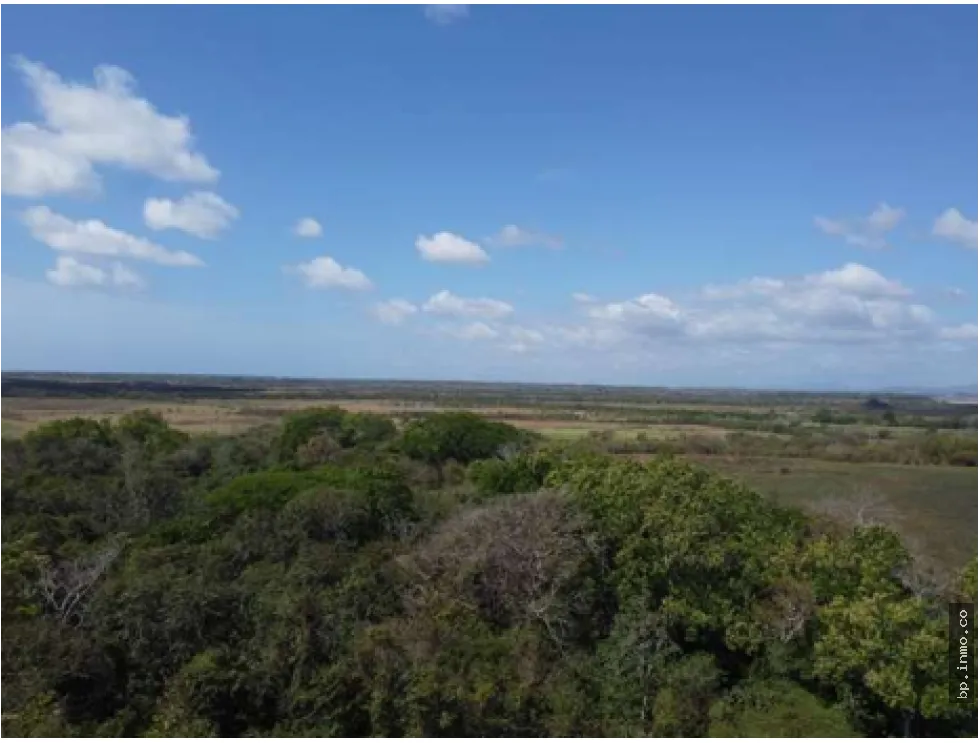 9.96 HECTARES FOR SALE IN PACORA