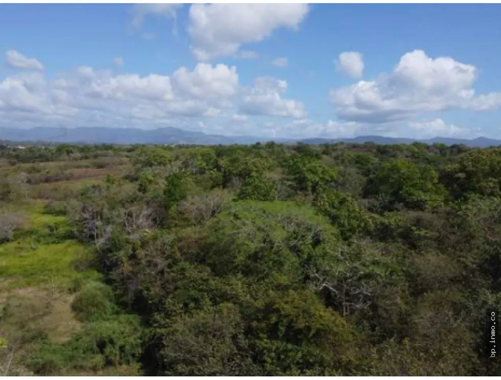 9.96 HECTARES FOR SALE IN PACORA
