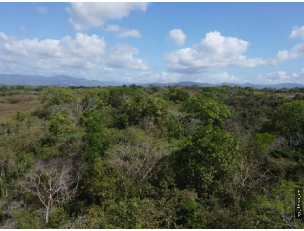 9.96 HECTARES FOR SALE IN PACORA