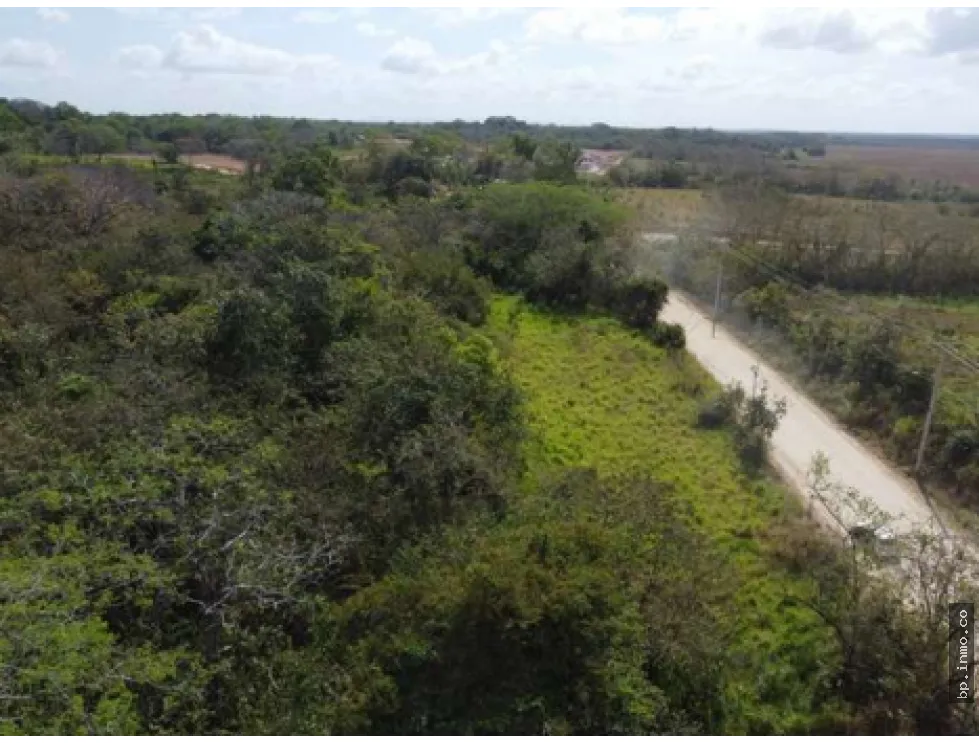 9.96 HECTARES FOR SALE IN PACORA