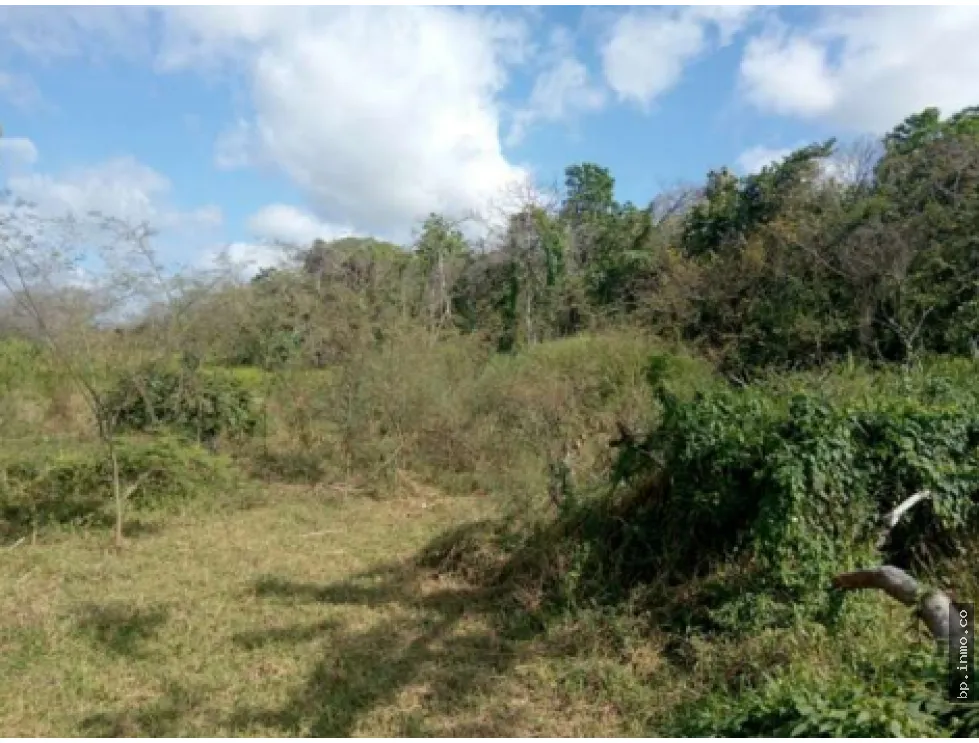 9.96 HECTARES FOR SALE IN PACORA