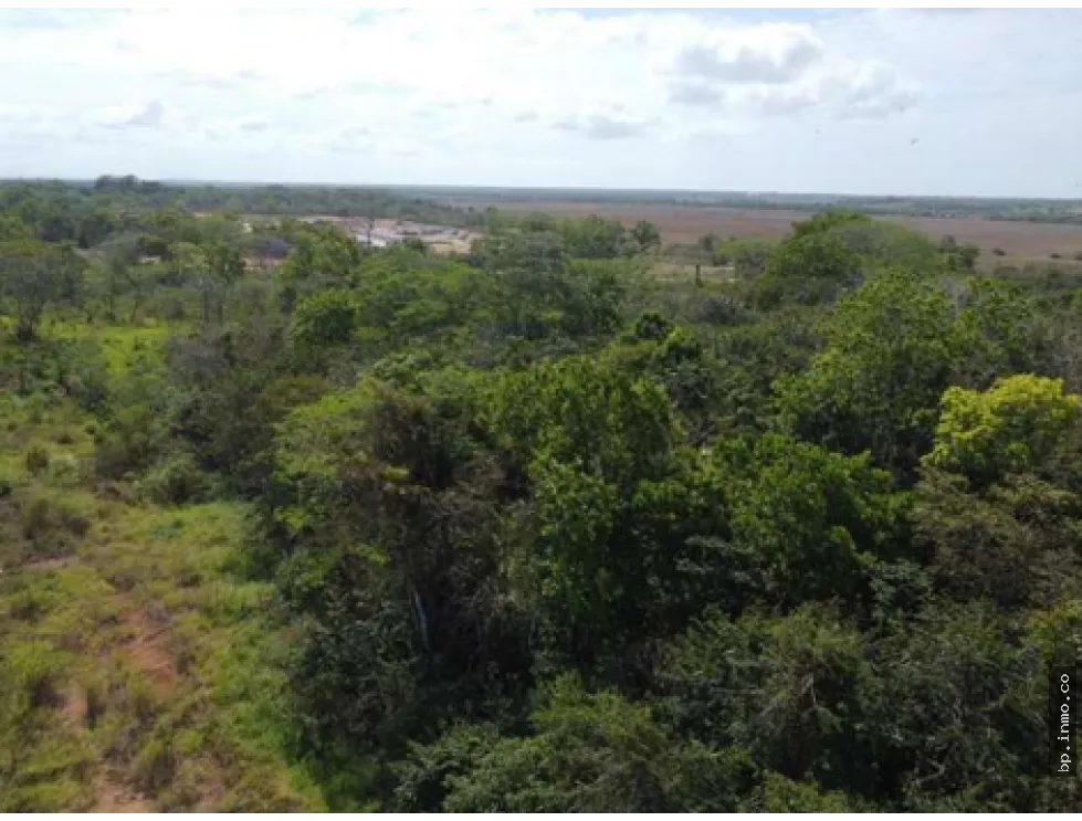 9.96 HECTARES FOR SALE IN PACORA