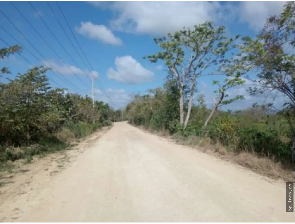 9.96 HECTARES FOR SALE IN PACORA
