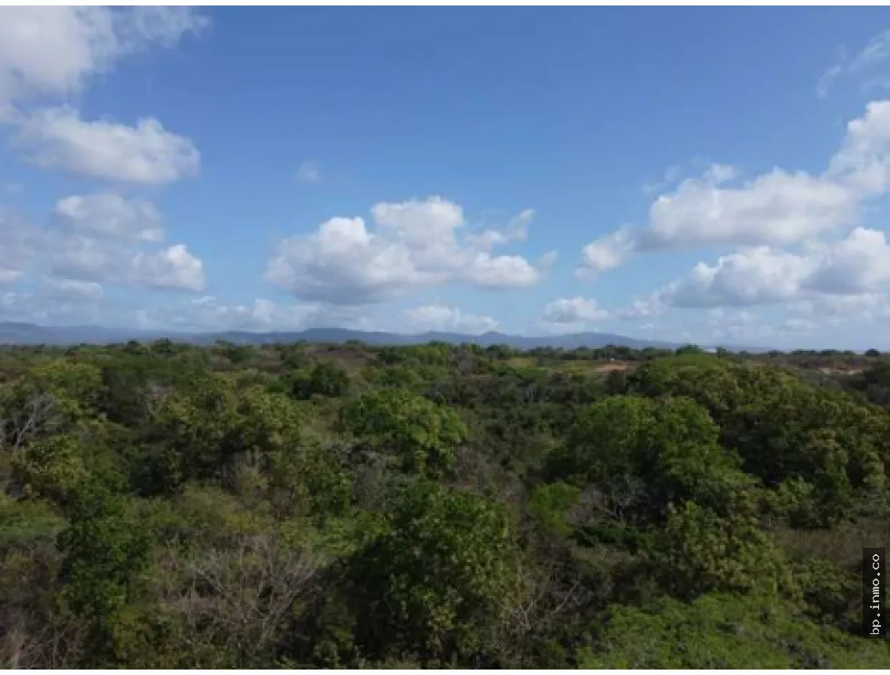 9.96 HECTARES FOR SALE IN PACORA