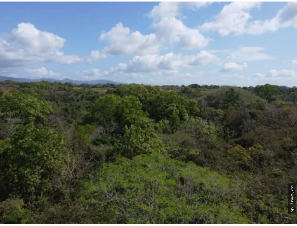 9.96 HECTARES FOR SALE IN PACORA