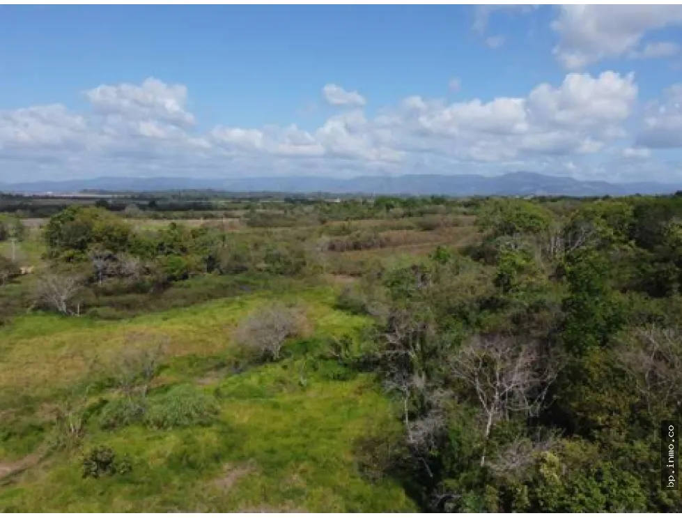 9.96 HECTARES FOR SALE IN PACORA