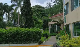 Apartment for Sale in Pine Hills, Albrook