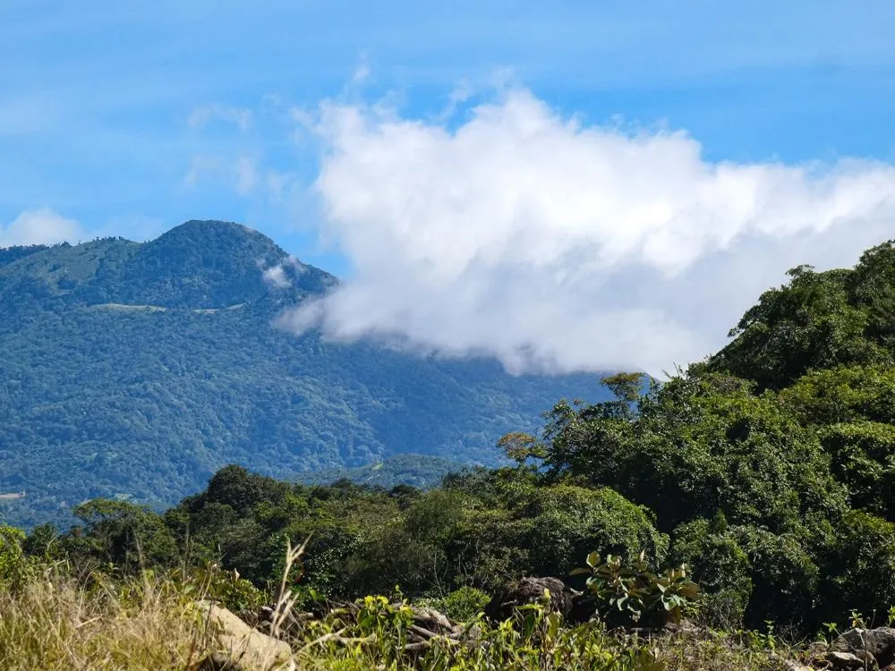 2,100 m² Lot for Sale in Las Trancas, Boquete