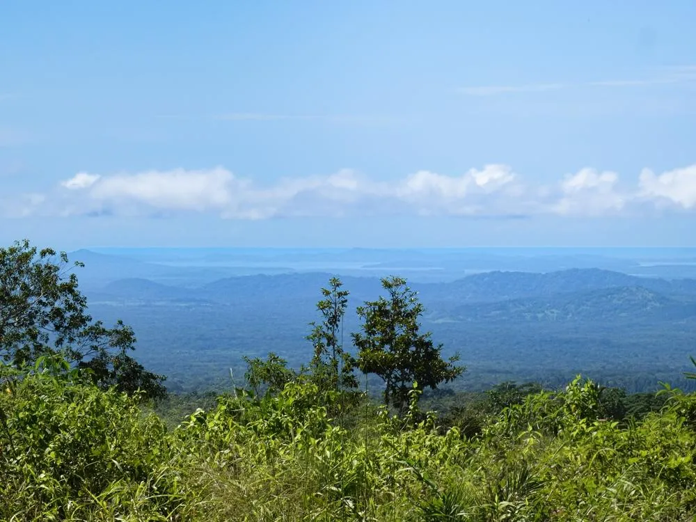 2,100 m² Lot for Sale in Las Trancas, Boquete