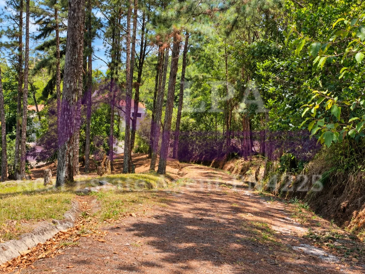 House for Sale in Cerro Azul