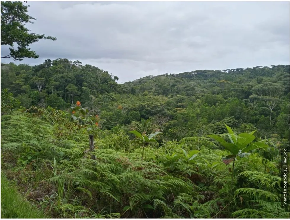 Se Vende Finca en Ciri de Los Sotos Capira Panama