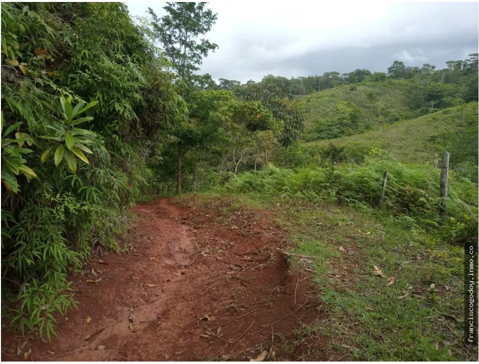 Se Vende Finca en Ciri de Los Sotos Capira Panama
