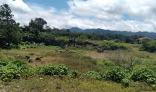 LAND FOR SALE IN VOLCANCITO CHIRIQUI