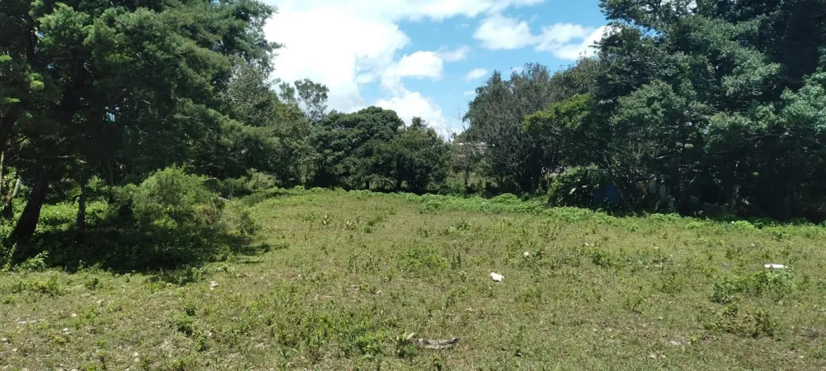 LAND FOR SALE IN VOLCANCITO CHIRIQUI