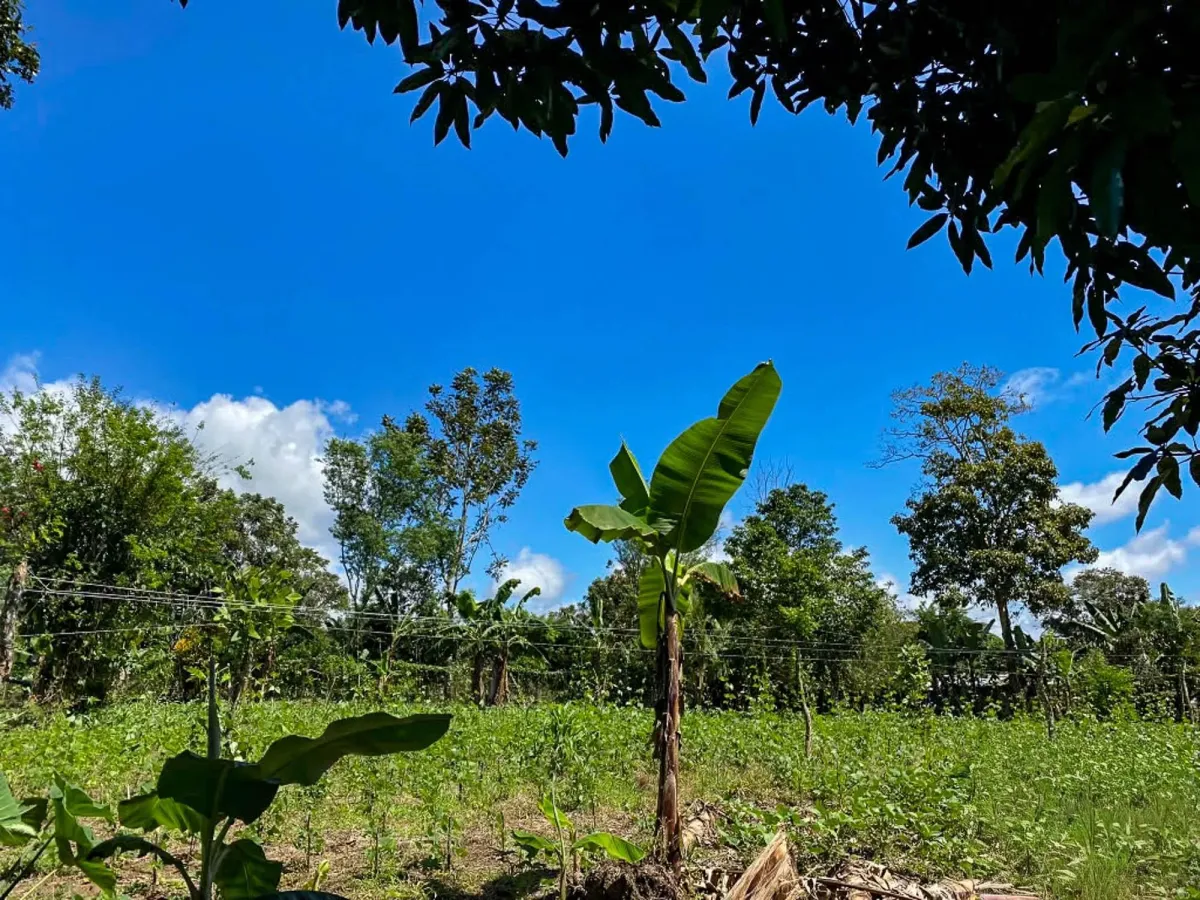 1.89 Acres of Flat Land with House in Renacimiento