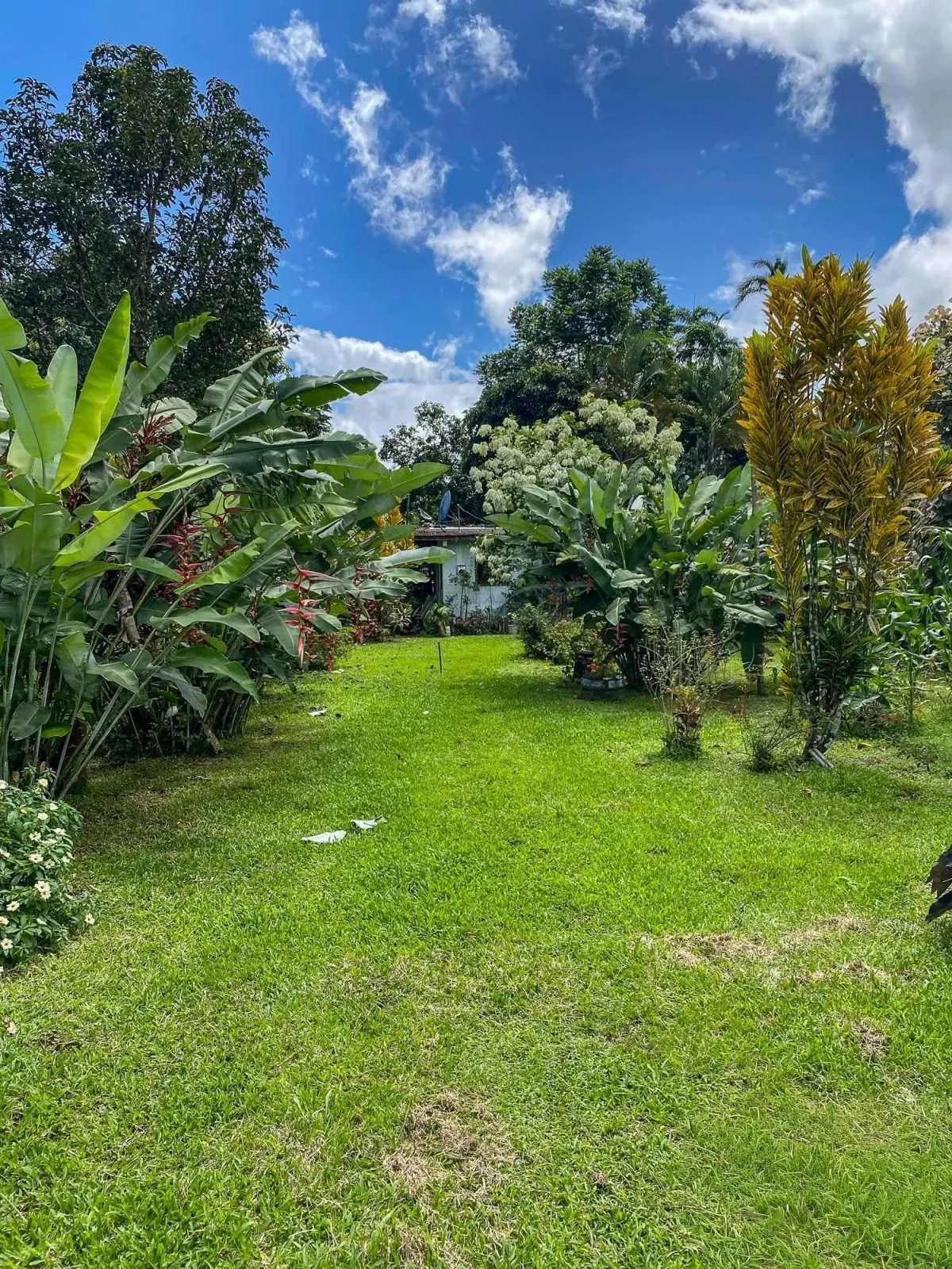 1.89 Acres of Flat Land with House in Renacimiento