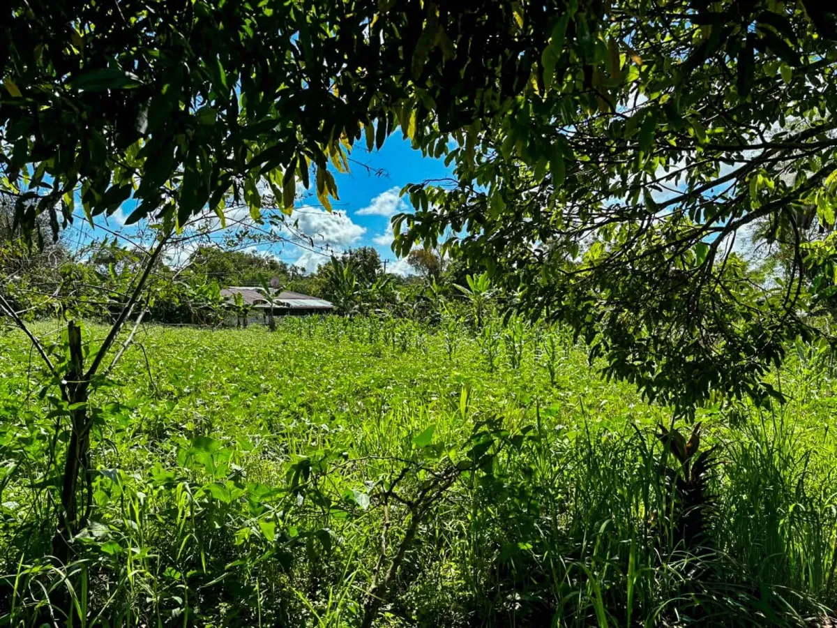 1.89 Acres of Flat Land with House in Renacimiento