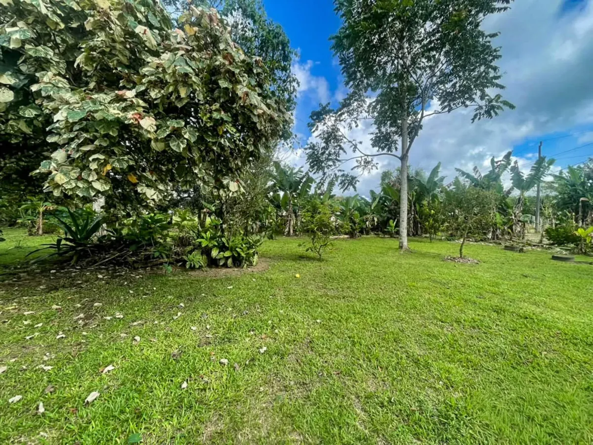 1.89 Acres of Flat Land with House in Renacimiento