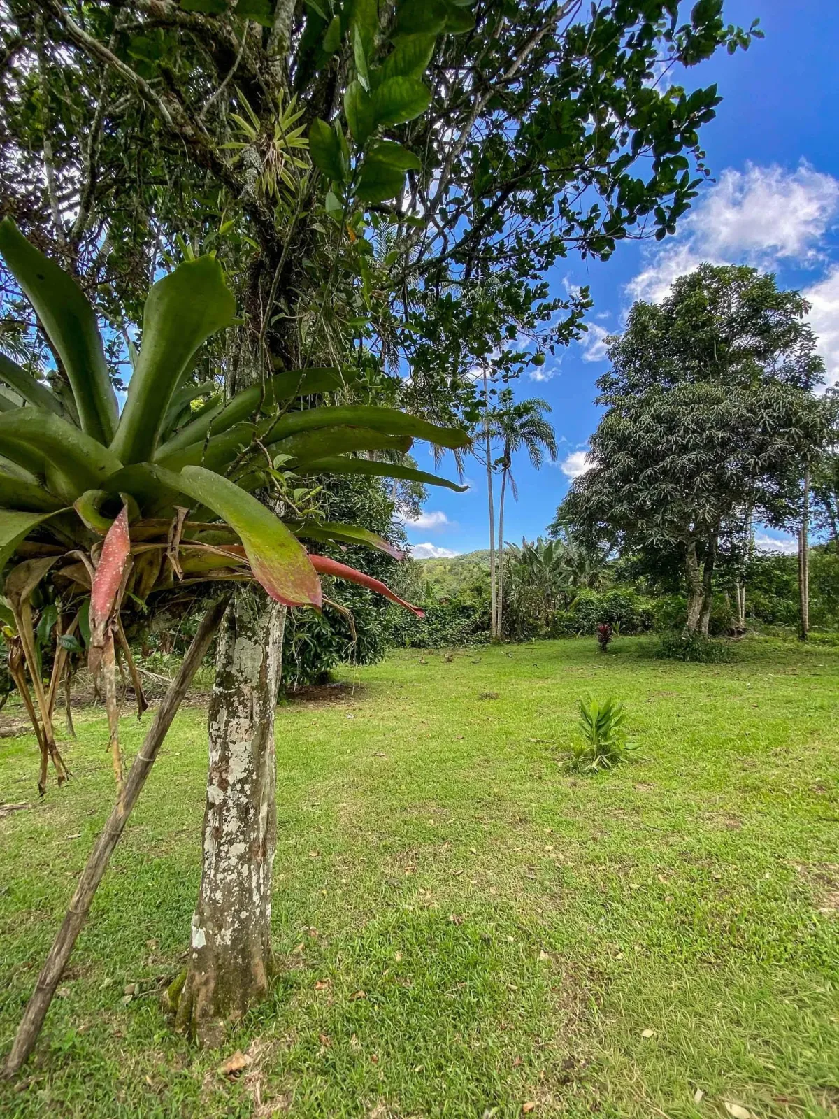 1.89 Acres of Flat Land with House in Renacimiento