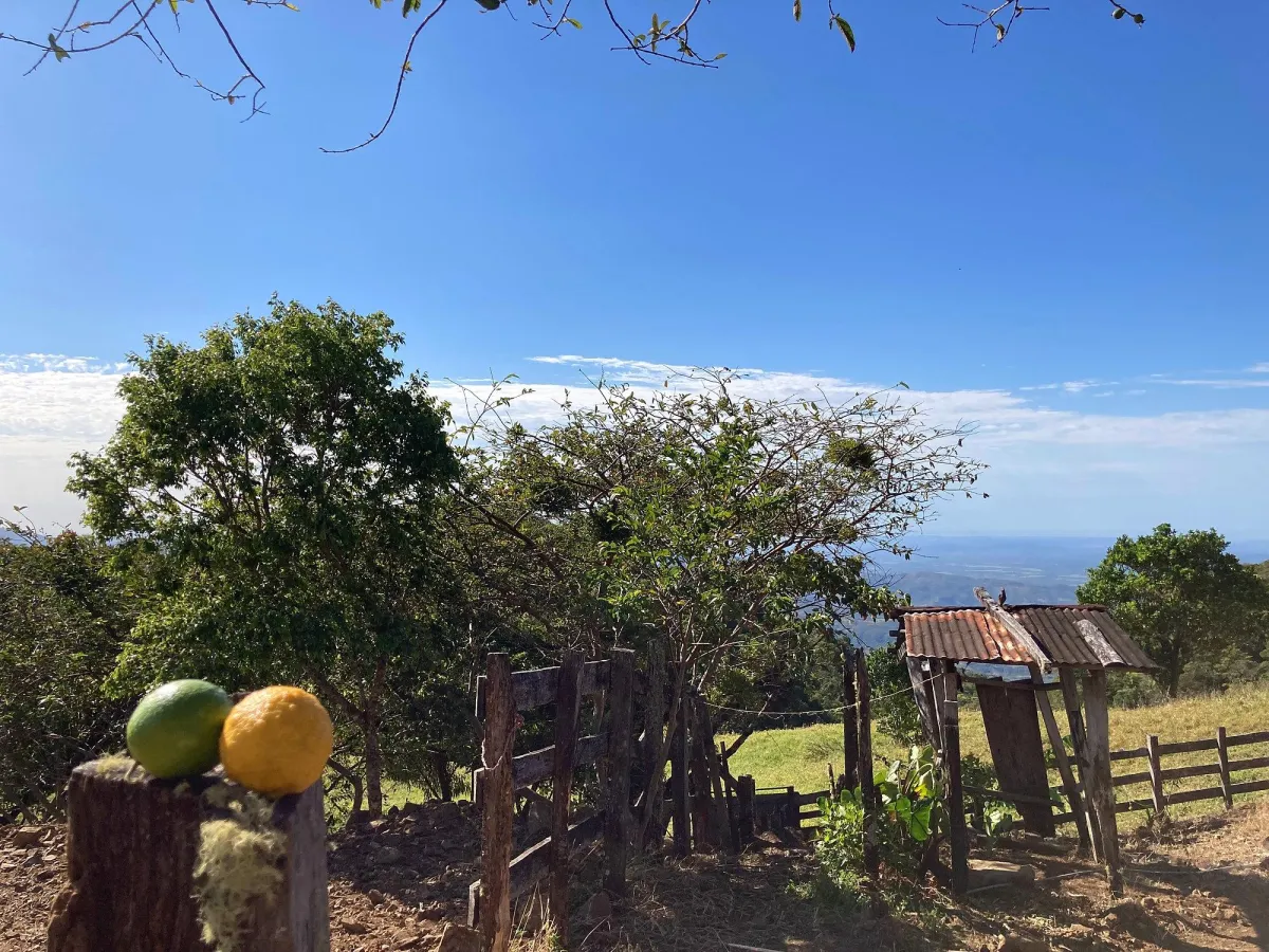 Cattle farm or private retreat