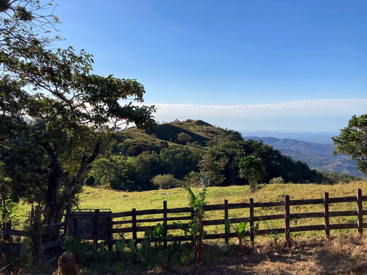 Cattle farm or private retreat