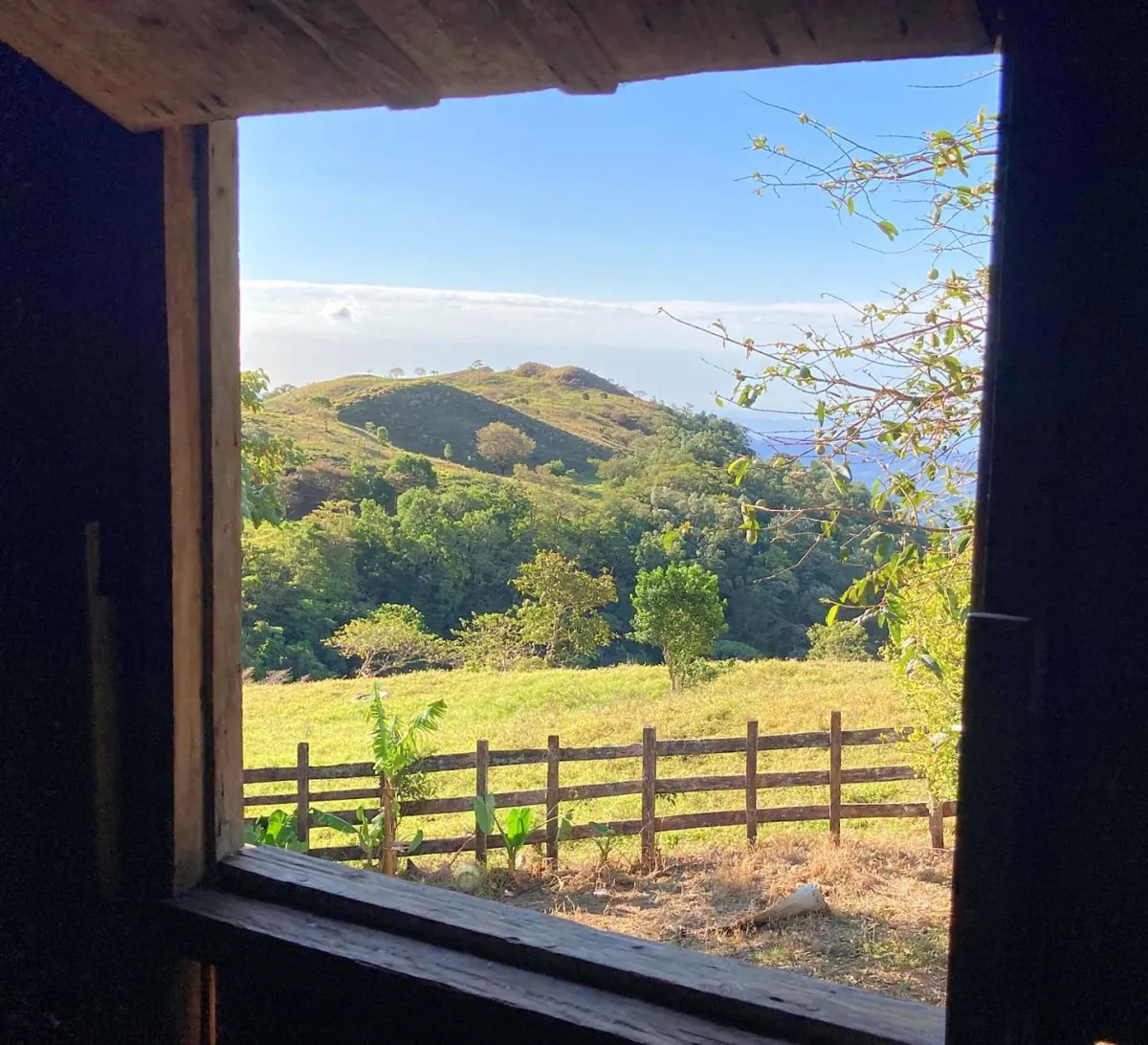 Cattle farm or private retreat