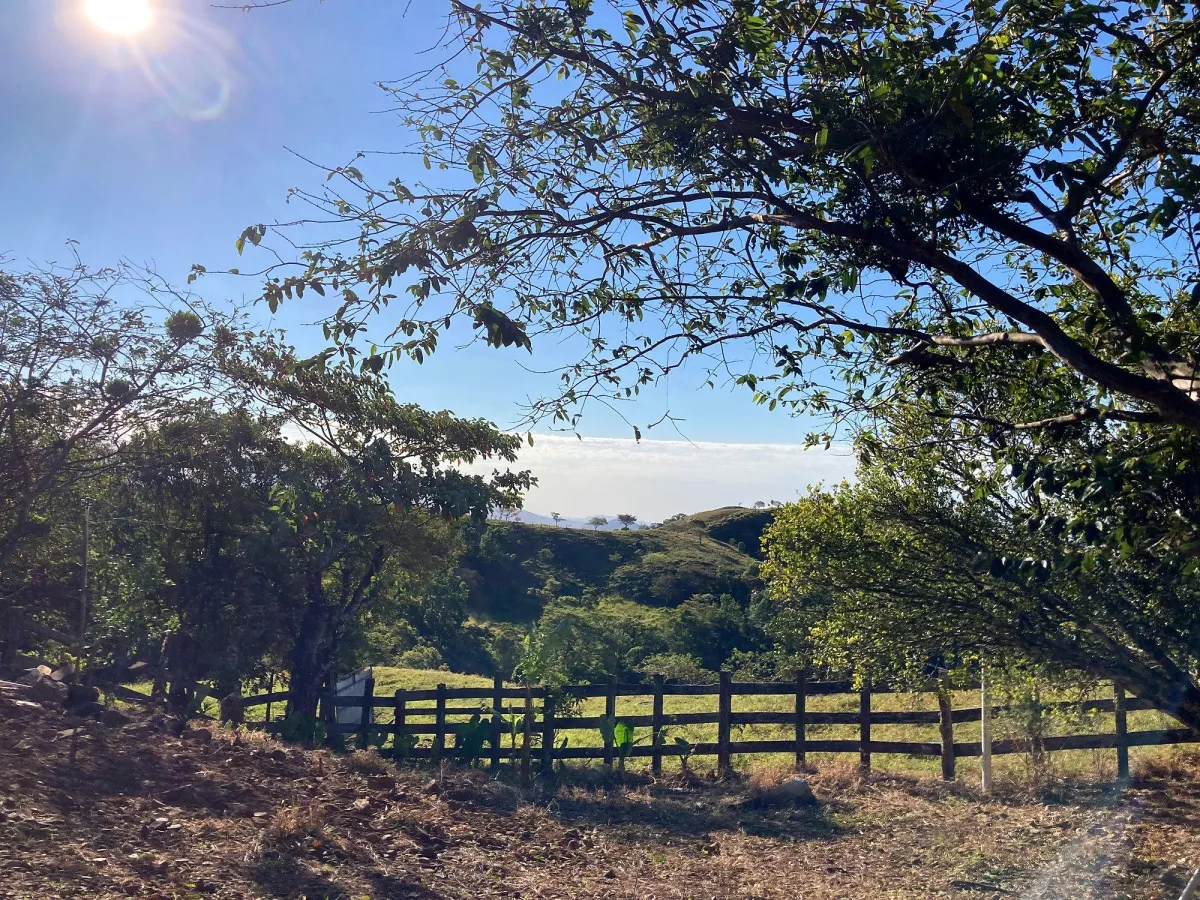 Cattle farm or private retreat