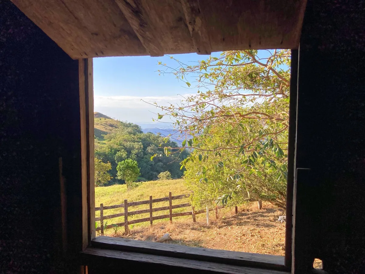 Cattle farm or private retreat
