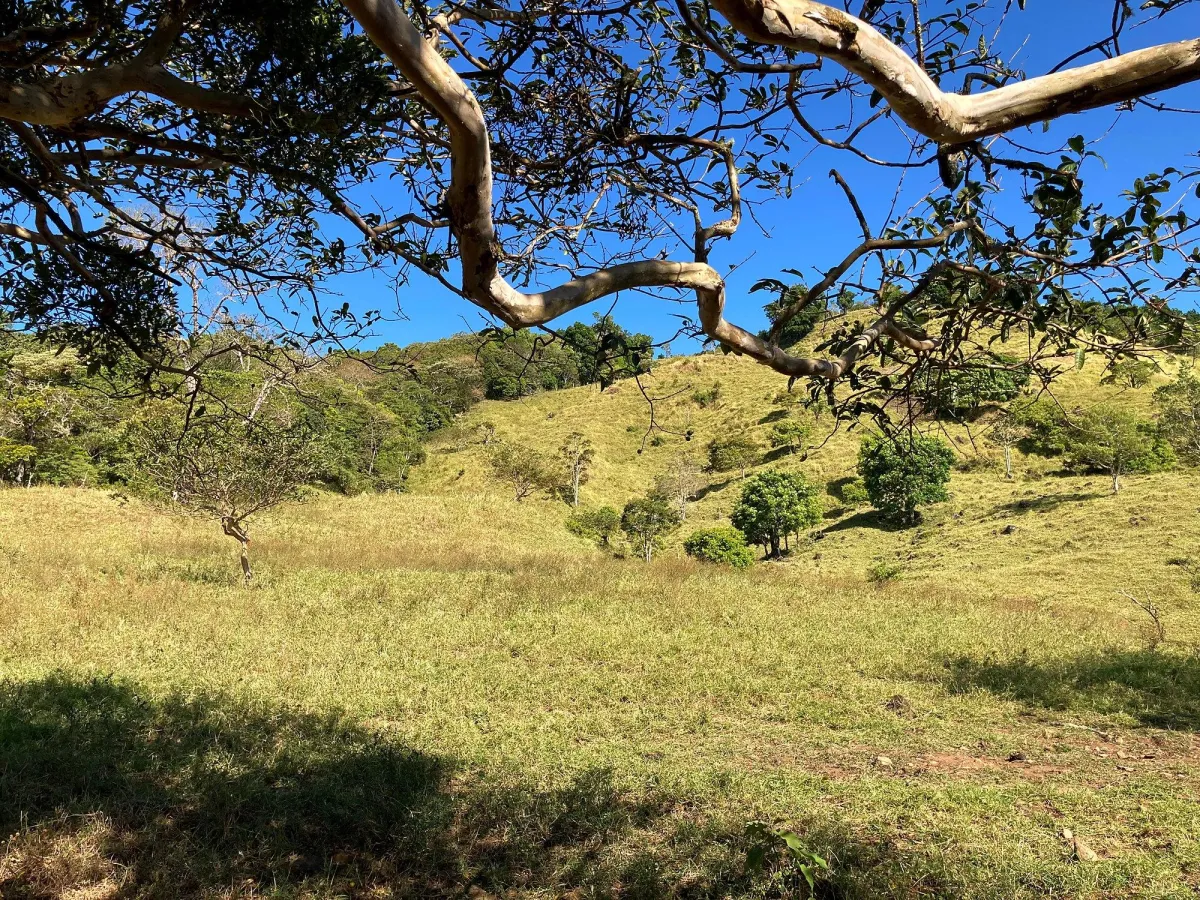 Cattle farm or private retreat