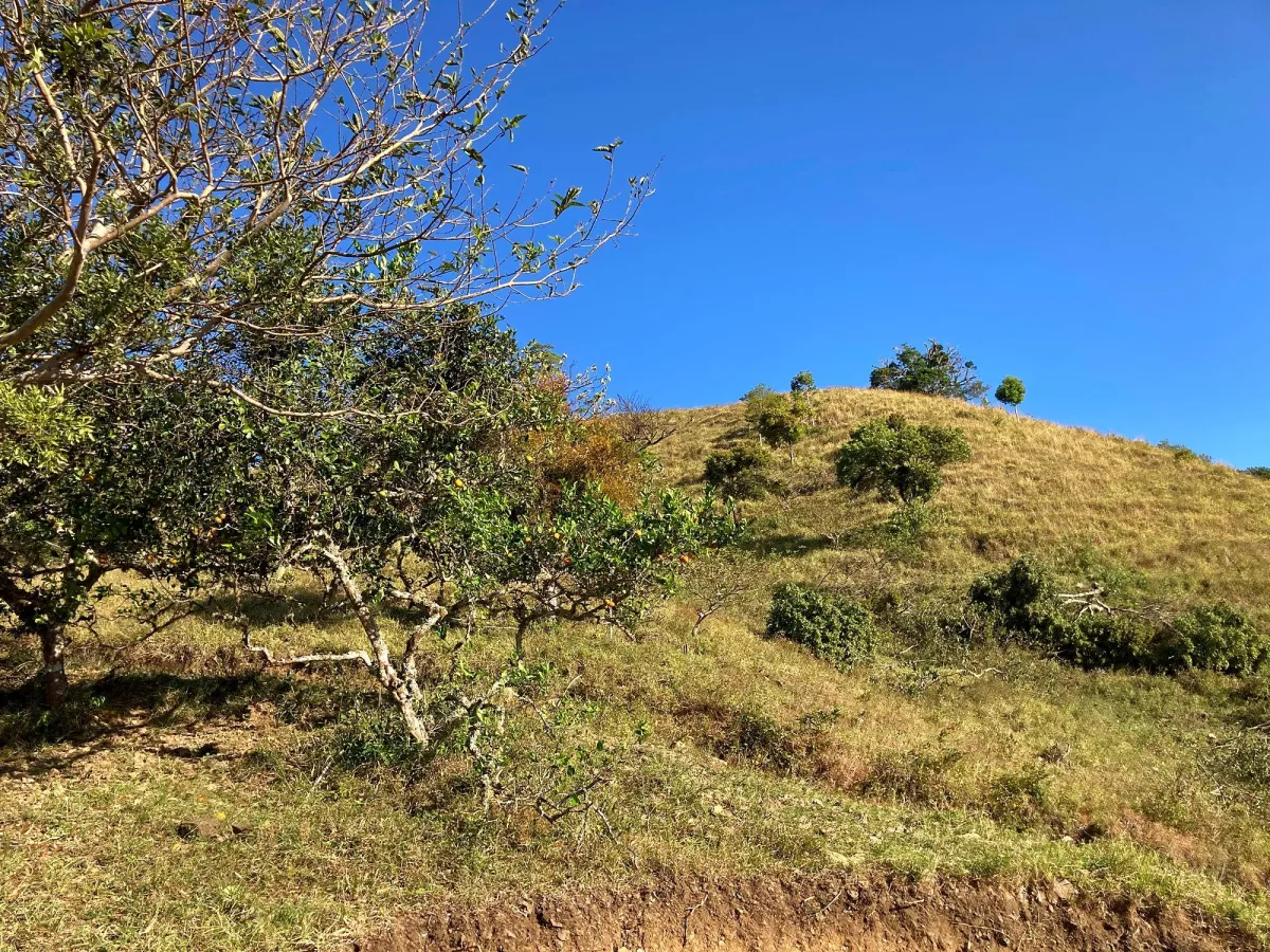 Cattle farm or private retreat