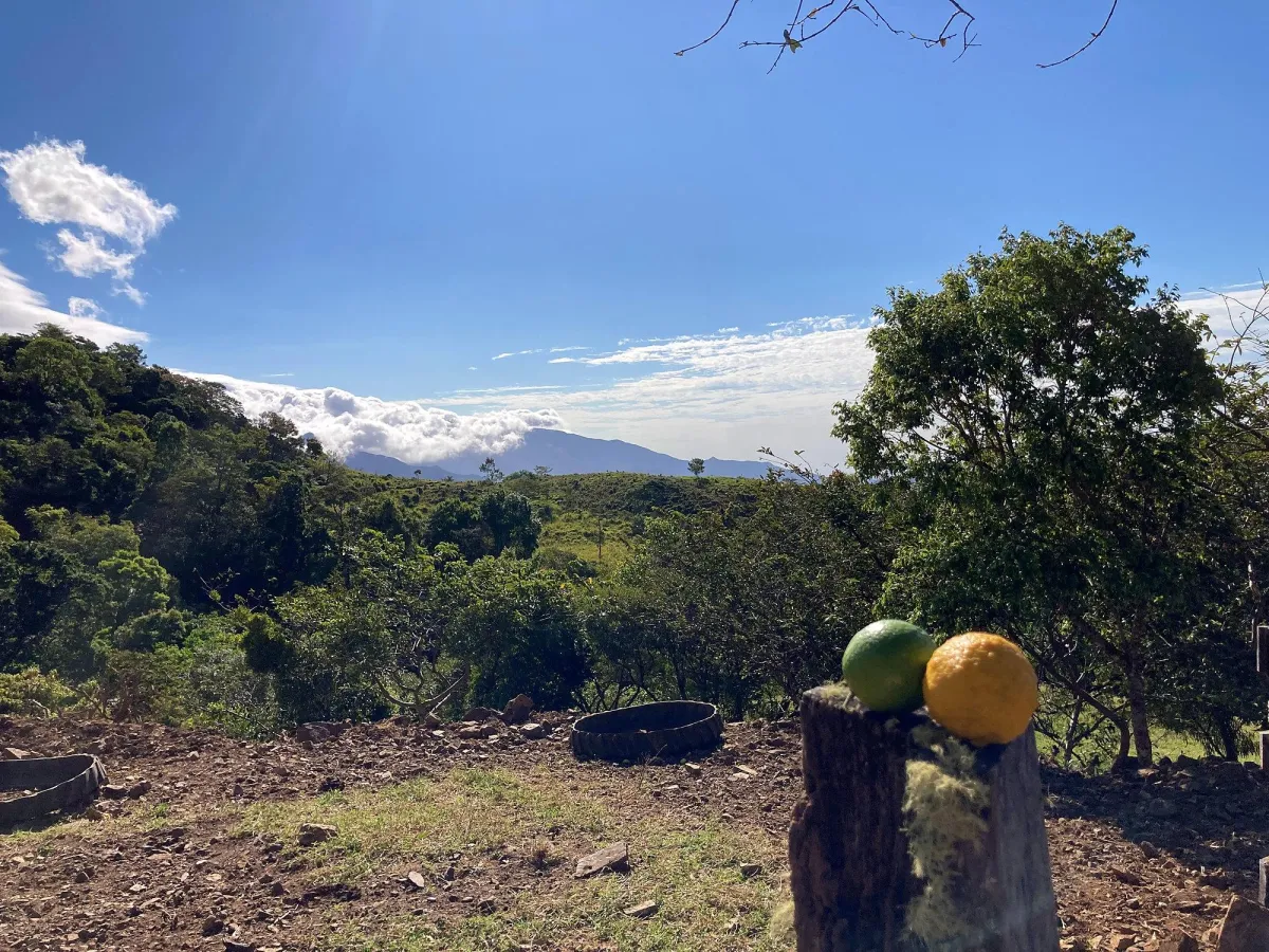 Cattle farm or private retreat