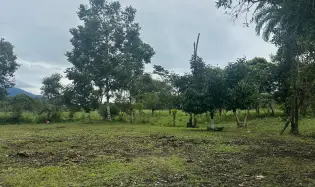 LAND FOR SALE IN POTRERILLOS, CHIRIQUI