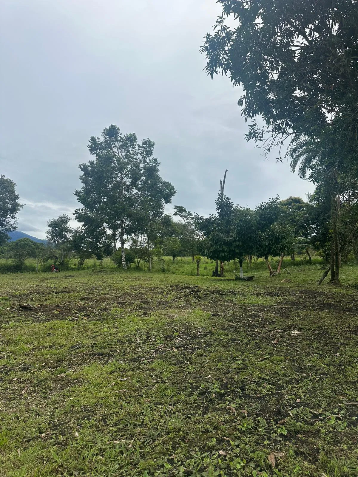 LAND FOR SALE IN POTRERILLOS, CHIRIQUI