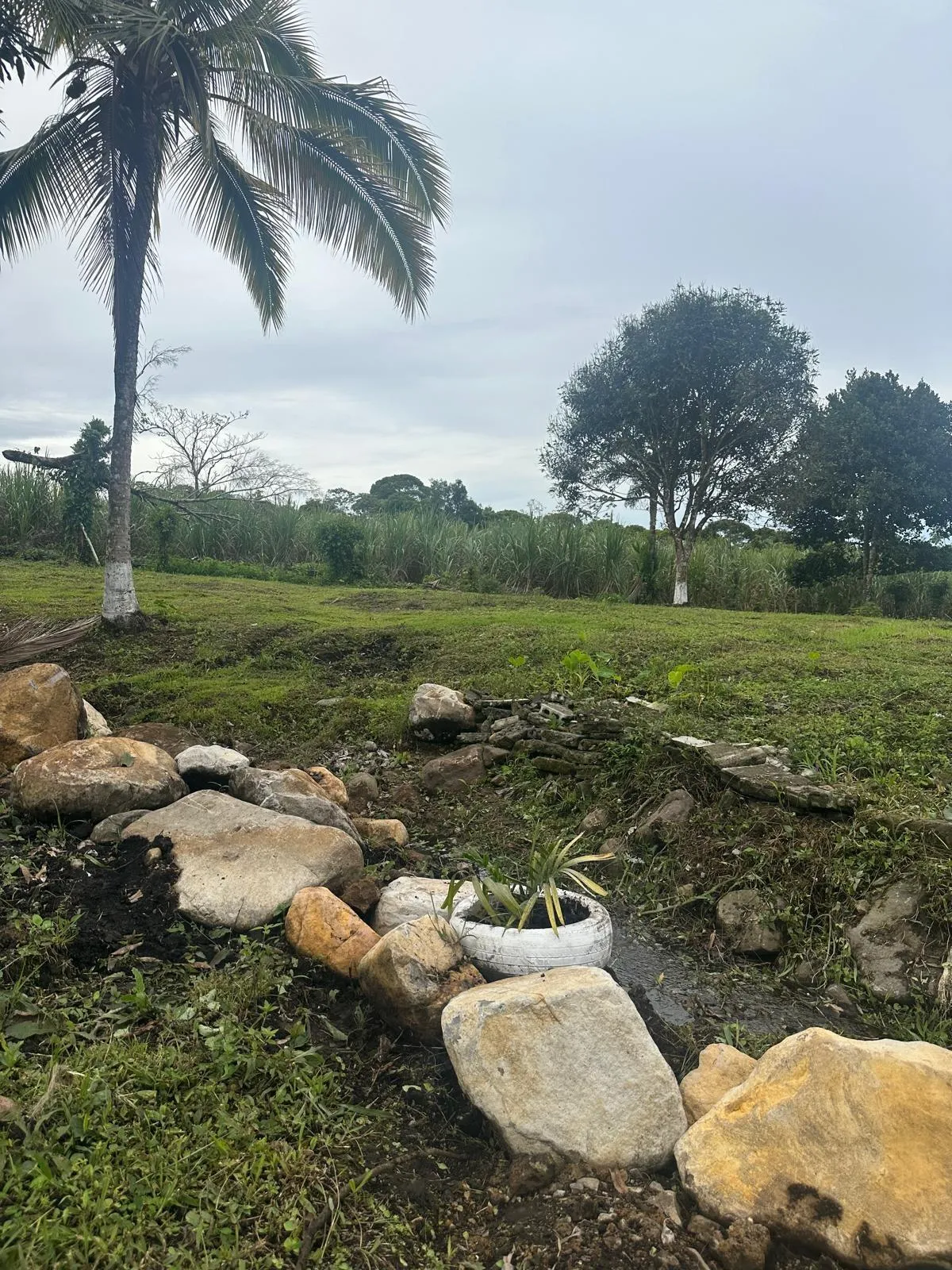 LAND FOR SALE IN POTRERILLOS, CHIRIQUI