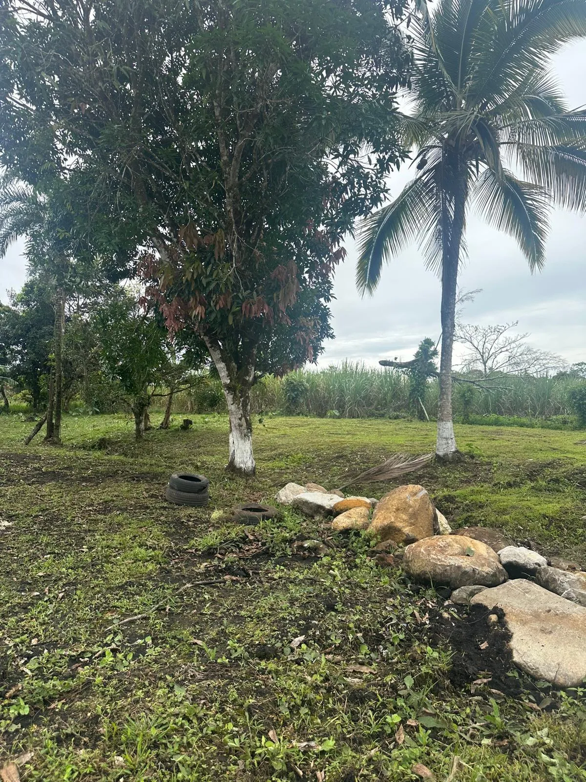 LAND FOR SALE IN POTRERILLOS, CHIRIQUI