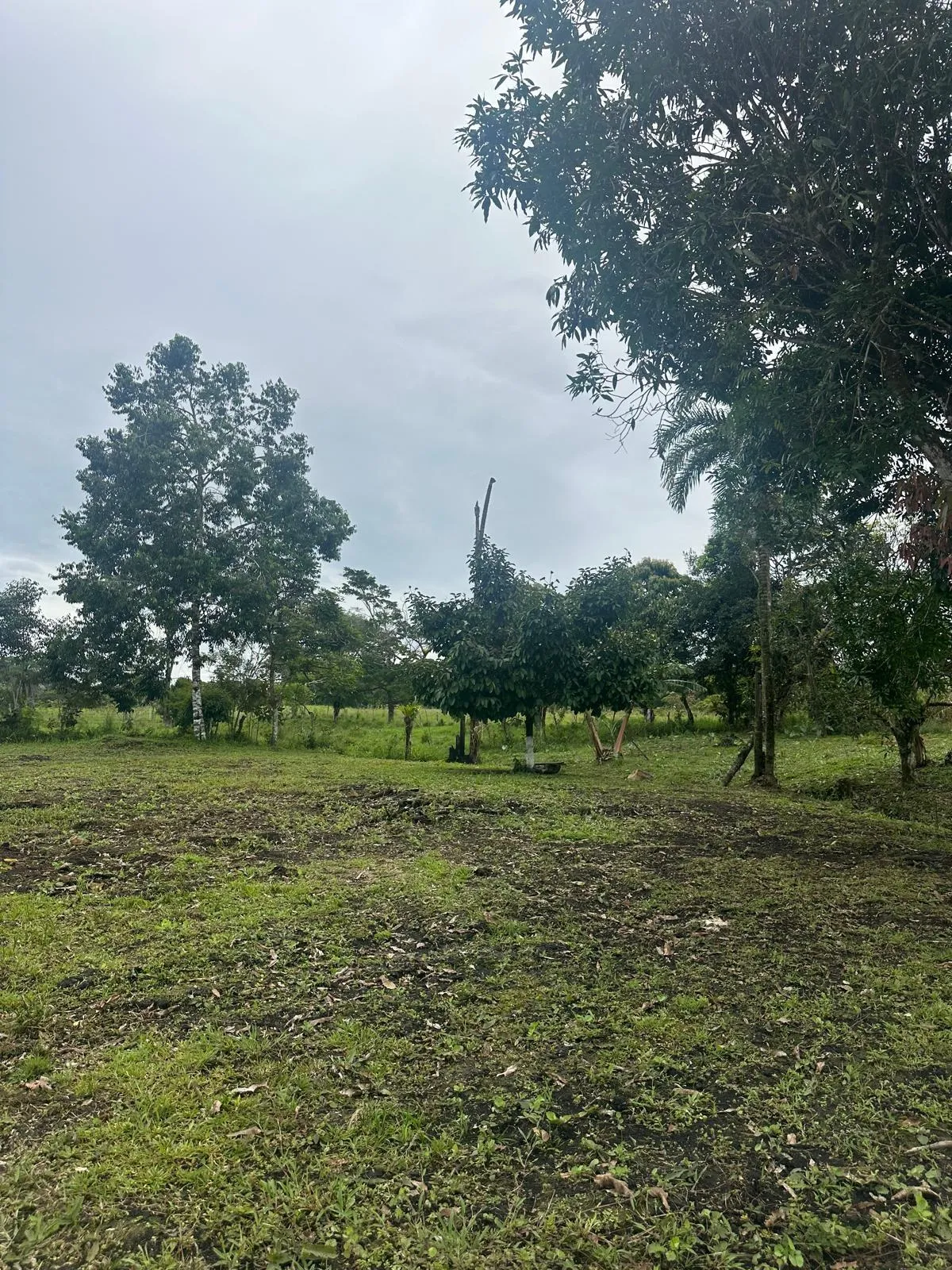 LAND FOR SALE IN POTRERILLOS, CHIRIQUI