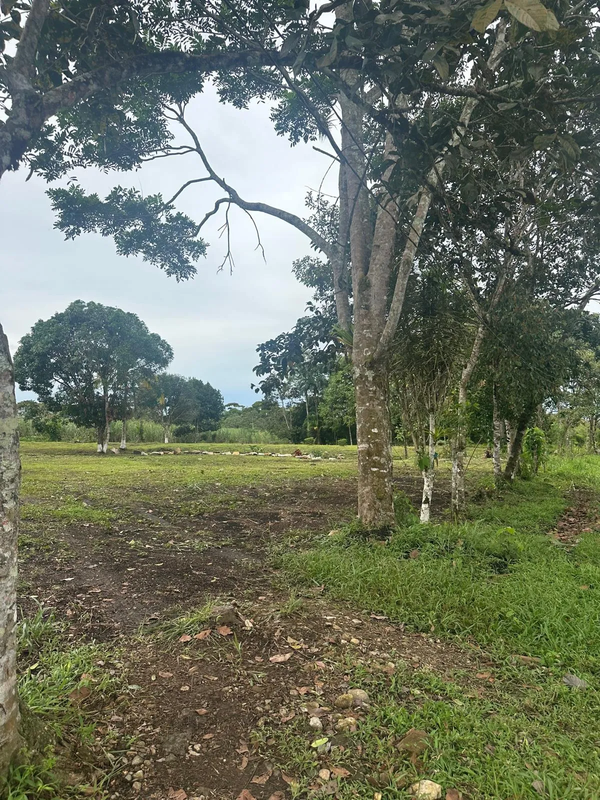 LAND FOR SALE IN POTRERILLOS, CHIRIQUI